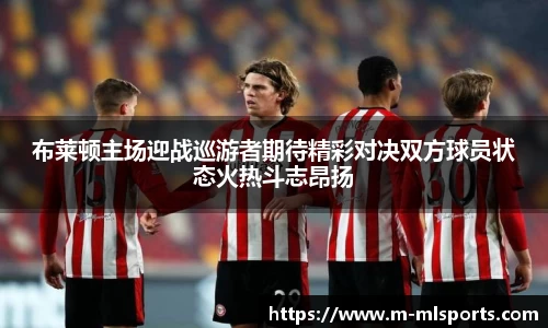 米兰体育官网