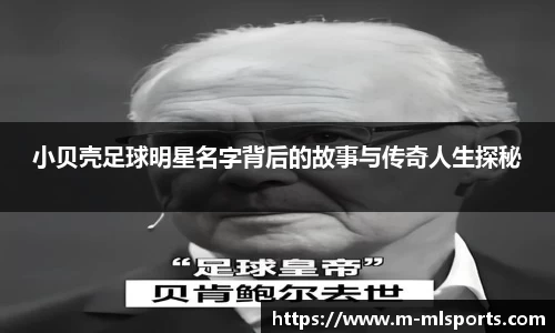 米兰体育app