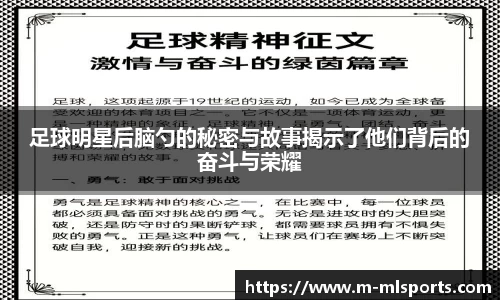 米兰体育app