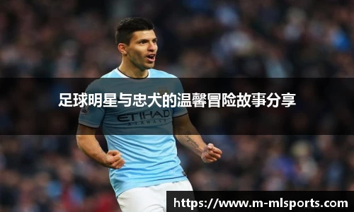 足球明星与忠犬的温馨冒险故事分享