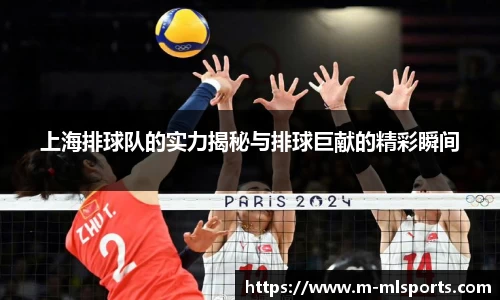 上海排球队的实力揭秘与排球巨献的精彩瞬间